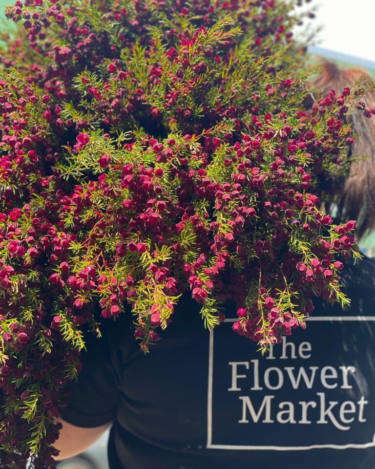 market2 768x960